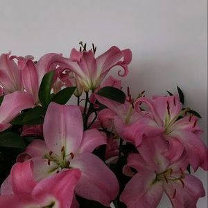 Meet your Posher, Kaylee1013